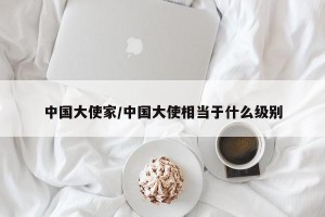 中国大使家/中国大使相当于什么级别