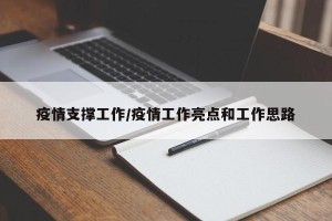 疫情支撑工作/疫情工作亮点和工作思路