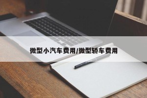 微型小汽车费用/微型轿车费用