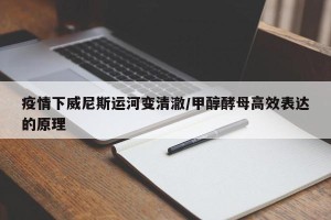 疫情下威尼斯运河变清澈/甲醇酵母高效表达的原理